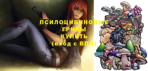 метамфетамин Каменка