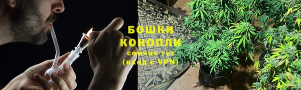 мяу мяу мука Каменногорск