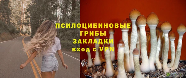 мдпв Каменск-Шахтинский