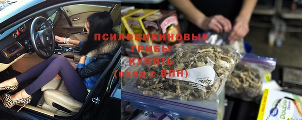 мяу мяу мука Каменногорск